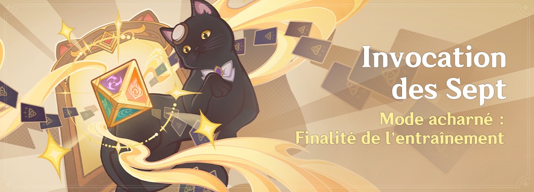 Mode acharné - Finalité de l'entraînement
